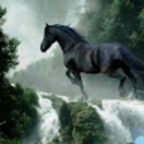 Meet your Posher, Cyn - Picture 1 of 1